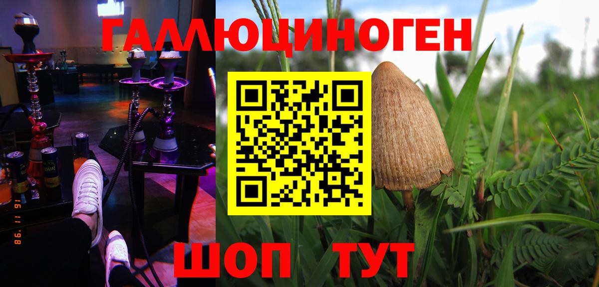 Псилоцибиновые грибы прущие грибы Трёхгорный