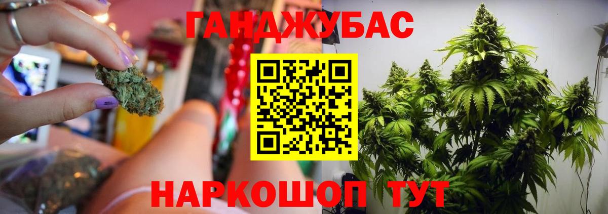 Конопля планчик Трёхгорный